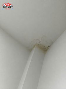 Thợ Dò Tìm & Sửa Ống Nước Bể Âm Nền Tại Phường Phú Thạnh Uy Tín