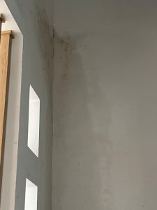 Dịch Vụ Dò Tìm Ống Nước Rò Rỉ Âm Nền Tại Phường Tân Hòa – Phục Vụ 24/7