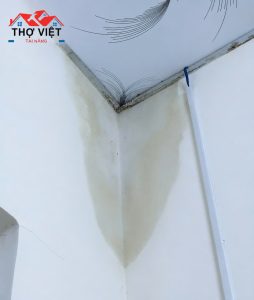 Thợ Dò Tìm Ống Nước Rò Rỉ Tại Quận Phú Nhuận Uy Tín – Có Mặt 30 Phút