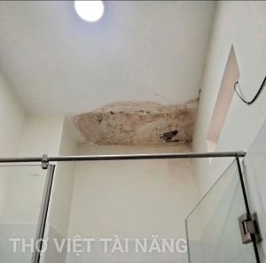 Dịch Vụ Dò Tìm Rò Rỉ Nước Âm Tường Phường An Phú Đông Giá Rẻ – UY TÍN 24/7