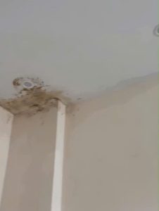 Dịch Vụ Dò Tìm Ống Nước Vỡ Ngầm Quận Gò Vấp | Sửa Nhanh 24/7