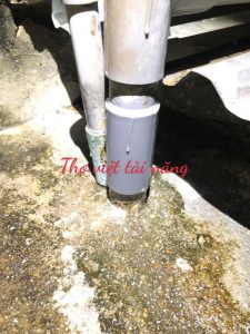 Sửa Ống Nước Phường Đông Hưng Thuận TP.HCM Thợ Giỏi – Nhanh Chóng, Uy Tín 24/7