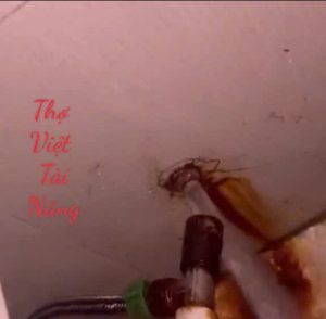 Sửa Ống Nước Phường An Phú Đông 24/24 – 0933.398.459