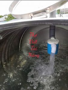 Sửa Ống Nước Phường An Phú Đông 24/24 – 0933.398.459