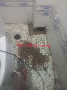 Thông cống nghẹt quận Gò Vấp – Dịch vụ nhanh chóng, uy tín 24/7