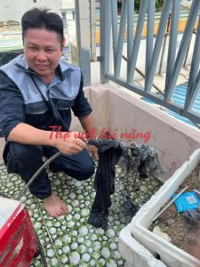 Thợ Thông Cống Nghẹt Tại Nhà Uy Tín – Sạch Sẽ, Hiệu Quả 100%