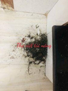 Thông Cống Nghẹt Tại Phường Thới An – Nhanh Chóng, Giá Rẻ 24/7 | Thợ Việt Tài Năng
